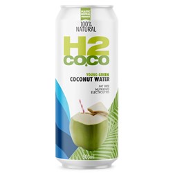 H2 500ML X 12 COCONUT WATER CAN