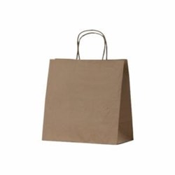 ANCHOR BETAECO SMALL KRAFT CARRY BAG (250)