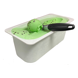 GOLDEN NORTH 5LT PEPPERMINT CHOC CHIP