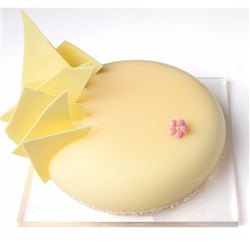 IRCA 6KG WHITE CHOCOLATE MIRROR