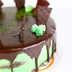 MARKS 11'' CHOC MINT DELIGHT CAKE*