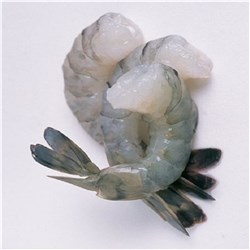 TOPSAIL 1KG 21/25 RAW PRAWN TAIL ON