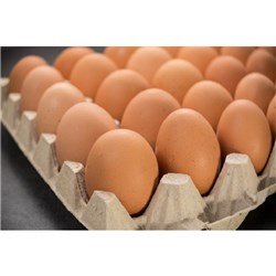 PACE LIBERTY 15DOZ x 600G CAGE FREE FILLER PACK EGGS