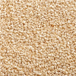 FRUTEX 15KG INDIAN SESAME SEED 