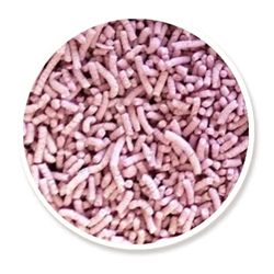 DOLLAR SWEETS 1.5KG MAUVE CAKE TOP