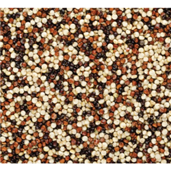 NATURES GROCER 1KG QUINOA TRI-COLOUR