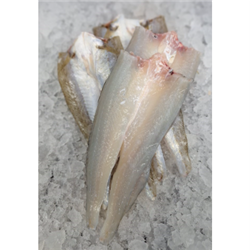 AQU 1KG R/W KING GEORGE WHITING BUTTERFLIED FZN*