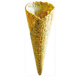 LRN 72 X 4G MEDIUM SEAWEED CONES*