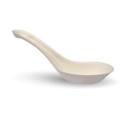 AB CHINESE SUGARCANE SOUP SPOONS (1000)