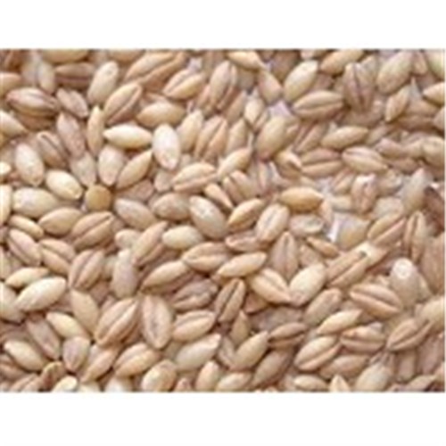 HOYTS 1KG PEARL BARLEY