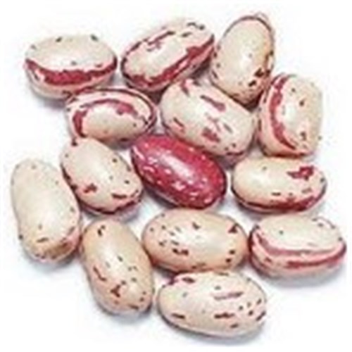 HOYTS 1KG BORLOTTI BEANS