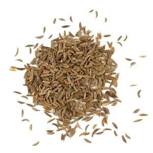 HOYTS 1KG CARAWAY SEEDS