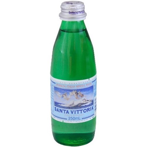 SAN VITT 250ML x 24 SPARKLING MINERAL WATER