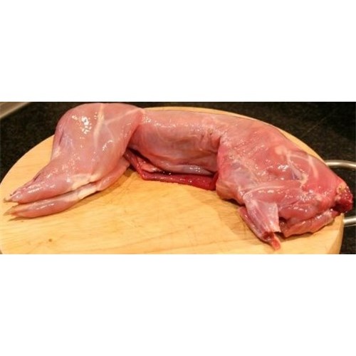 TIPTOP RABBIT (800-900G)*