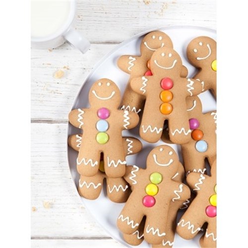 SBN (10) GINGER MEGS BISC*