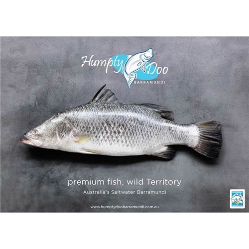 AQU 1.2 KG BARRAMUNDI FILLET SK/ON W/ON*