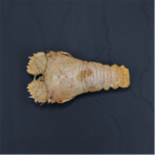 AQU  200-250G LRG BUGS WHOLE GREEN FRZ*