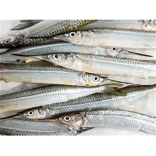 AQU 180-280 GARFISH WHOLE GUTTED FRESH R/W*