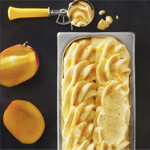 EF 5LT ARTISAN MANGO GELATO*