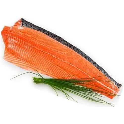 AQU 1.3 ATLANTIC SALMON FLT RW S/ON W/ON PIN/BND TAS*