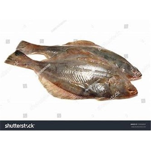 AQU FLOUNDER WHOLE FRESH*