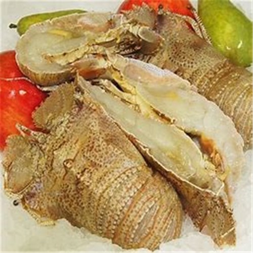 AQU KG BUGS 1/2 SPLIT RAW 70-90G EACH FROZEN*