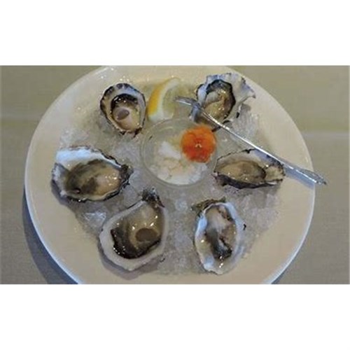 AQU 1 DOZ OYSTERS NSW BISTRO OPEN *