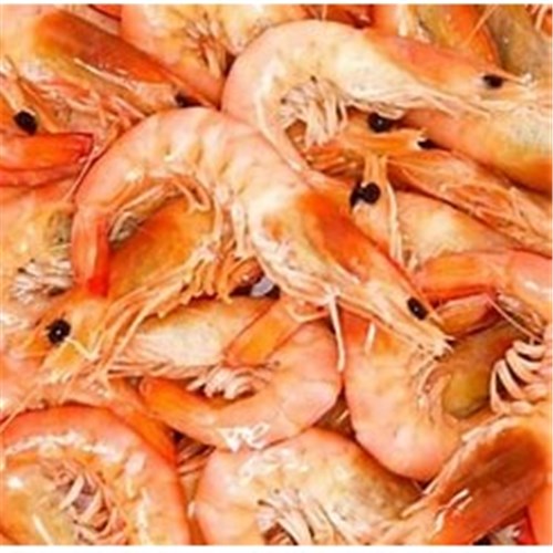 AQU 5KG CTN  PRAWN KING SA WHOLE COOKED 10/15*