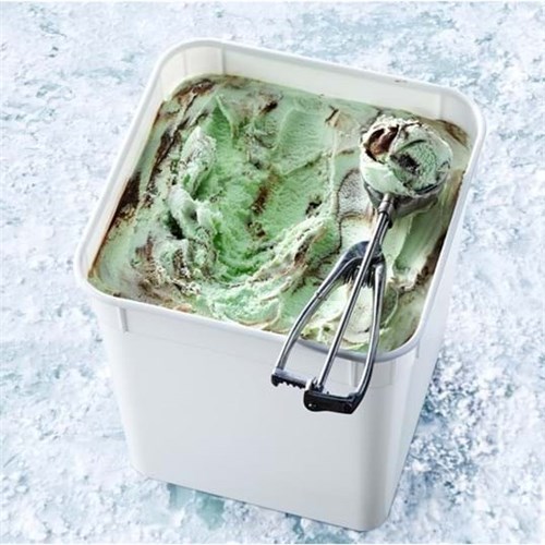 EF 10LT GOLD LABEL MINT CHOC FUDGE ICE CREAM*