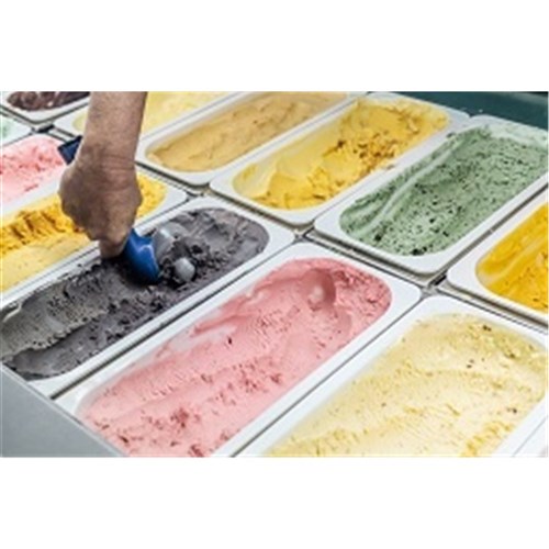 TIMBOON ICECREAM 5LT MINT CHOC CHIP