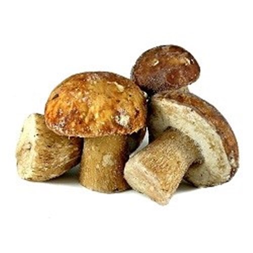 CHAMPI'GEL 1KG x 10 FROZEN WHOLE PORCINI 2-4CM*