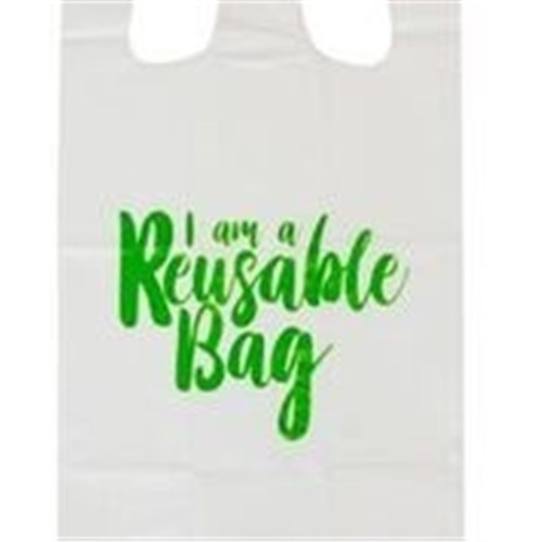 FPA 1500 x REUSABLE SINGLET BAG SMALL (36 MICRON)