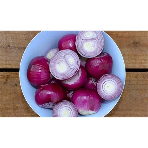 CONAPAK 10KG PEELED RED ONION*