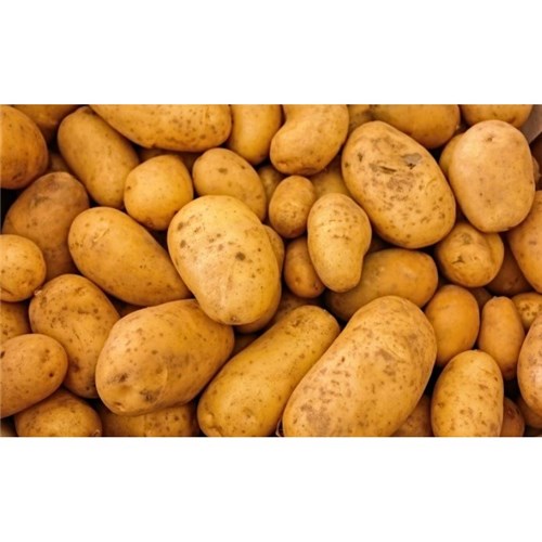 CONAPAK 20KG LARGE BRUSHED POTATOES*