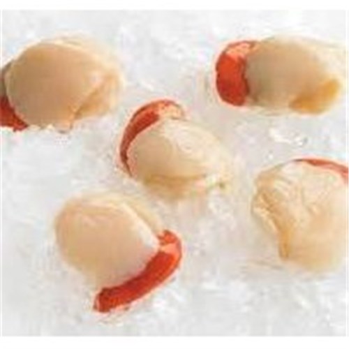AQU 500G VAC PACK LOCAL SCALLOP MEAT ROE ON*