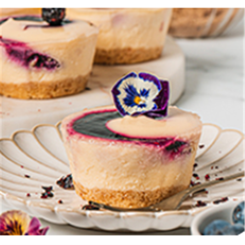 PRIESTLEYS 8 x IND BLUEBERRY CHEESECAKE