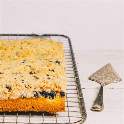 SBN VEGAN LEMON BLUEBERRY CATERING BOX 48*