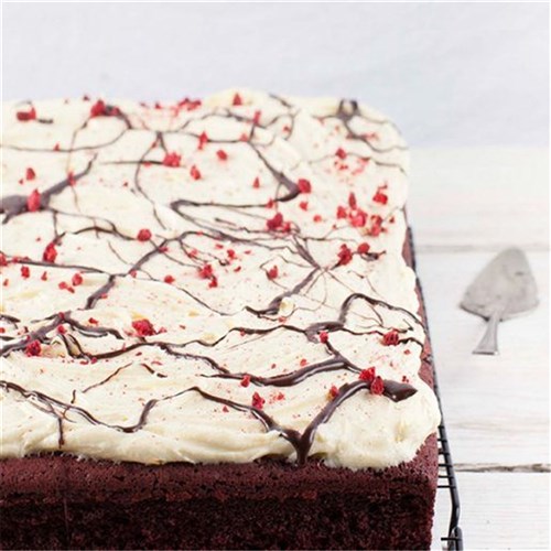 SBN RED VELVET CATERING BLOCK 72*