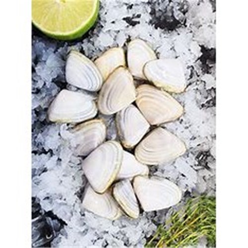 AQU PIPPIES GOOLWA 1KG FRZ*