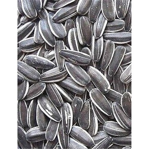 NSM 1KG SUNFLOWER SEEDS