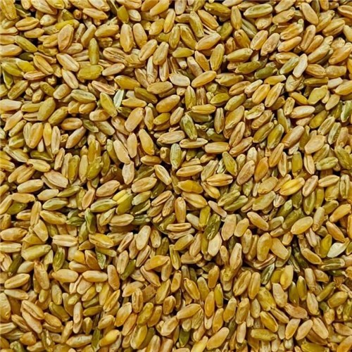 NSM 1KG WHOLE FREEKEH