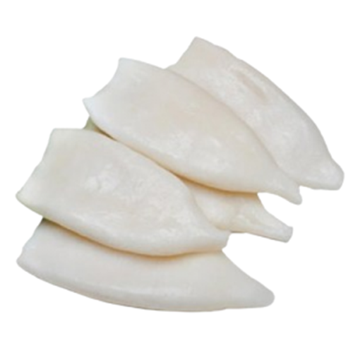 BSF 5KG U5 SQUID TUBES 