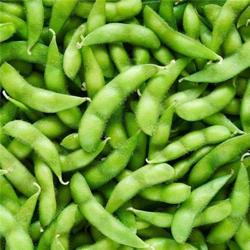 JFT 400G HANAMARU EDAMAME SOYBEAN IN POD