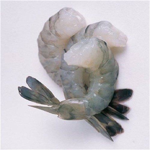 TOPSAIL 1KG 21/25 RAW PRAWN TAIL ON