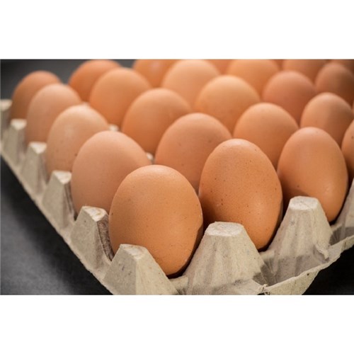 PACE LIBERTY 15DOZ x 600G CAGE FREE FILLER PACK EGGS