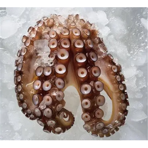 AQU 1KG OCTOPUS HANDS FZN SIZE 1/2*