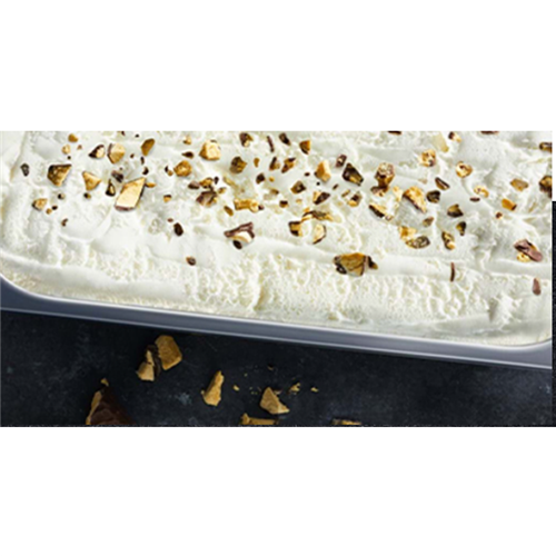 EF 5LT HOKEY POKEY ICE CREAM*
