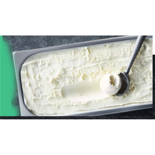 EF 5LT VANILLA BEAN ICE CREAM*